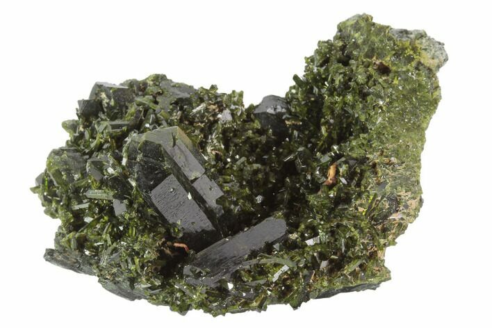 Epidote Crystal Cluster with Actinolite - Pakistan #91990